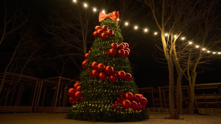 New Christmas Tree